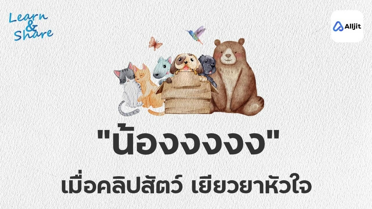 ใครเป็นบ้าง? ดูคลิปสัตว์แล้วมีความสุข